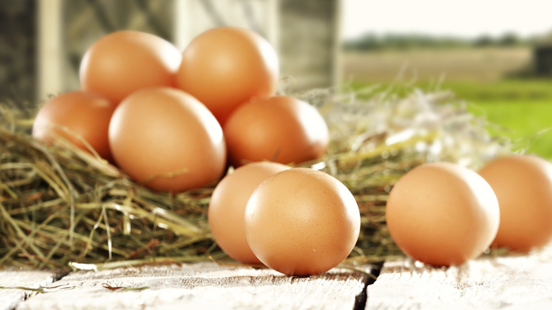 farm fresh eggs