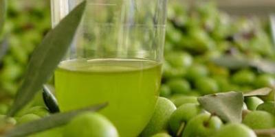 Το δικό μας αγουρέλαιο